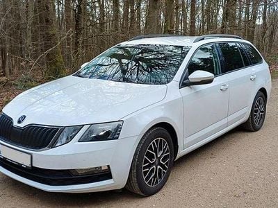 Gebraucht Skoda Octavia G-TEC 131 PS (96 kW) 2020 Weiß Kombi