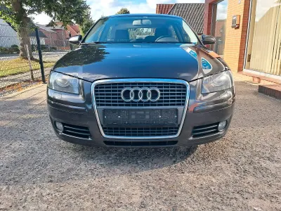 Gebraucht Audi A3 Ambition 140 PS (102 kW) 2006 Grau Kleinwagen