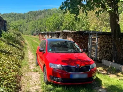 Gebraucht Skoda Rapid 86 PS (63 kW) 2014 Rot Kleinwagen