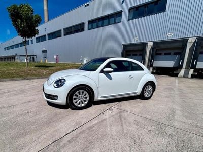 VW Beetle