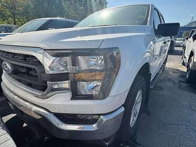 Neu Ford F-150 XLT 405 PS (297 kW) 2025 Oxfordwhite Pickup