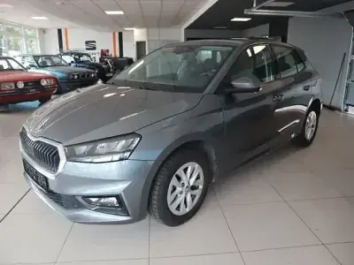 Gebraucht Skoda Fabia Selection 95 PS (69 kW) 2024 Grau Kleinwagen