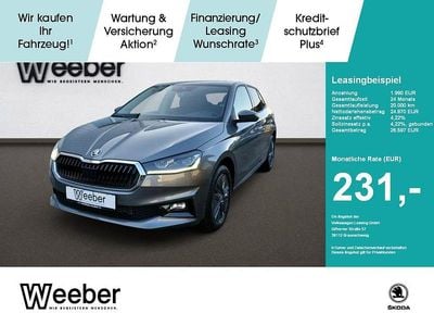 Grau Neu 2026 Skoda Fabia Tour Limousine | 24.870 € (Fairer Preis)