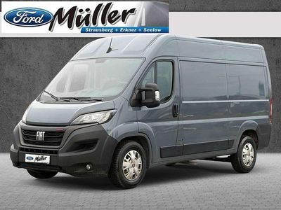Lanzarote grau Gebraucht 2023 Fiat Ducato Van | 29.900 € (Fairer Preis)