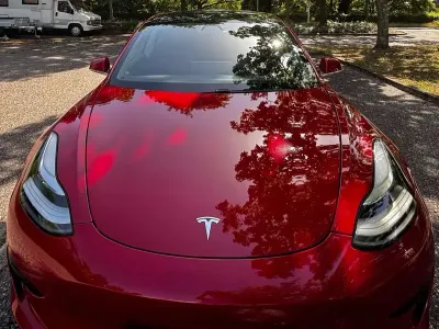 Gebraucht Tesla Model 3 Standard Range Plus 225 kW (306 PS) 2020 Rot Limousine