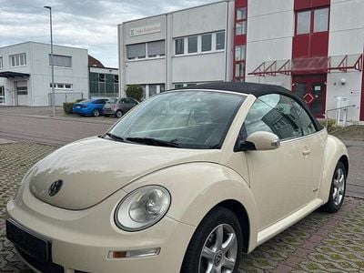 VW Beetle