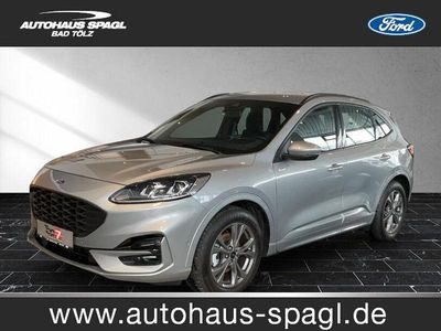 Gebraucht Ford Kuga ST-Line 150 PS (110 kW) 2023 Solar silver (metallic) SUV