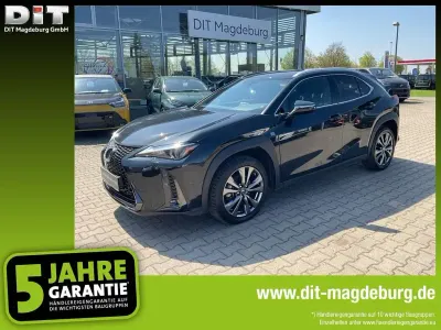 Gebraucht Lexus UX 250h