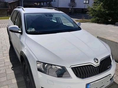 Gebraucht Skoda Octavia Scout Scout 4x4 150 PS (110 kW) 2016 Weiß Kombi