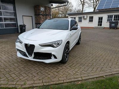 Gebraucht Alfa Romeo Stelvio Quadrifoglio 510 PS (375 kW) 2021 Weiß SUV