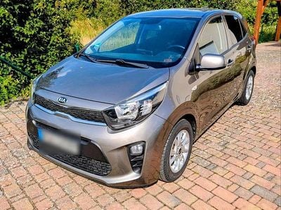 Grau Gebraucht 2017 Kia Picanto DREAM-TEAM Edition Kleinwagen | 6.600 € (Fairer Preis)