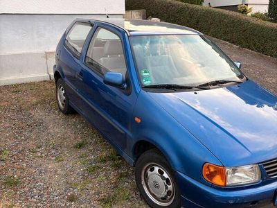 VW Polo