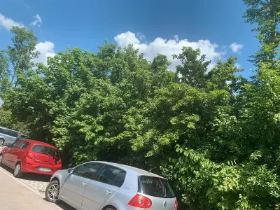 Używany VW Golf V 85 KM (62 kW) 2007 Sedan/Limuzyna