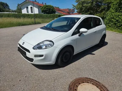 Gebraucht Fiat Punto 69 PS (50 kW) 2014 Weiß Kleinwagen