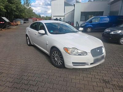 Occasion Jaguar XF Luxury 207 ch (152 kW) 2009 Blanc Berline