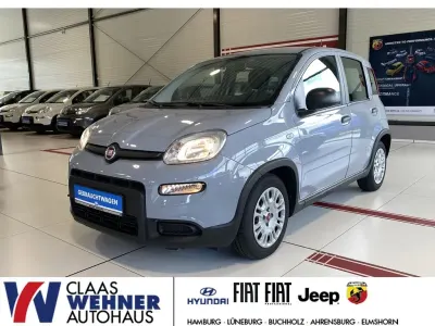 Gebraucht Fiat Panda 69 PS (50 kW) 2023 Grau Kleinwagen