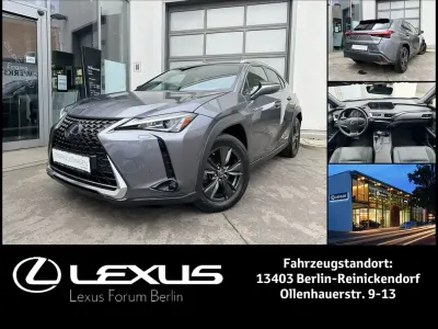 Gebraucht Lexus UX 250h
