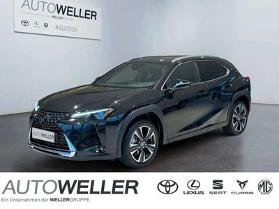 gebraucht Lexus UX 250h Executive Line *Pano*HUD*LED*SHZ*ALU*