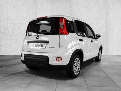 Usata Fiat Grande Panda 69 CV (50 kW) 2025 Bianco Utilitaria