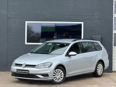 Gebraucht VW Golf VII Trendline 116 PS (85 kW) 2019 Silber Kombi