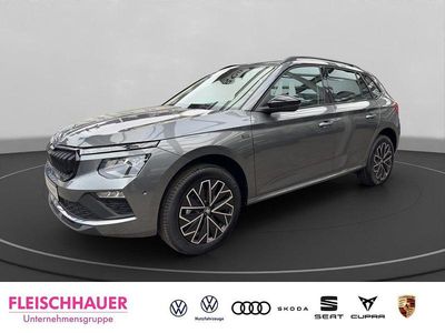 Grau Neu 2025 Skoda Kamiq Tour SUV | 30.590 € (Etwas zu teuer)