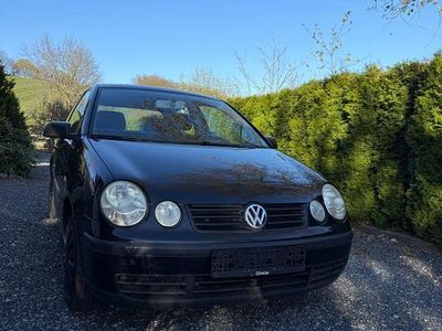 Usata VW Polo Comfortline 64 CV (47 kW) 2004 Nero Utilitaria
