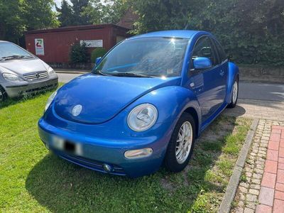 VW Beetle