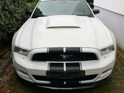 Occasion Ford Mustang 309 ch (227 kW) 2014 Blanc Coupé