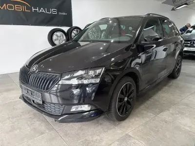 Brugt Skoda Fabia