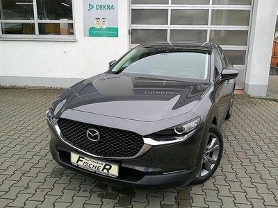 Gebraucht Mazda CX-30 Selection 186 PS (136 kW) 2022 Grau SUV