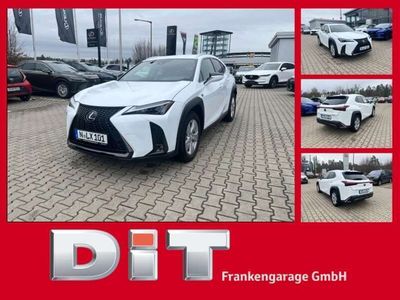 gebraucht Lexus UX 250h Crossover F-Sport Design Sondermodell