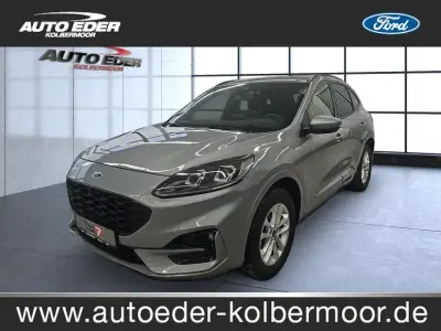 Usata Ford Kuga ST-Line X 190 CV (139 kW) 2021 Argento SUV