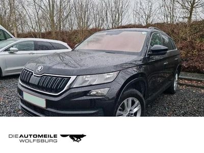 Usata Skoda Kodiaq Ambition 150 CV (110 kW) 2020 SUV