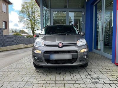 gebraucht Fiat Panda Lounge, 1.Hand, SH, WR, Top