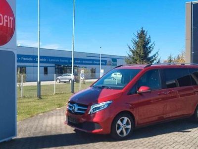 Gebraucht Mercedes V220 Edition 163 PS (119 kW) 2019 Lackfarbe hyazinthrot metallic Van / Kleinbus