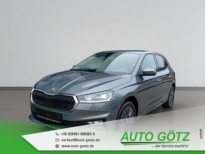 Grau Neu 2025 Skoda Fabia Tour Limousine | 23.890 € (Fairer Preis)