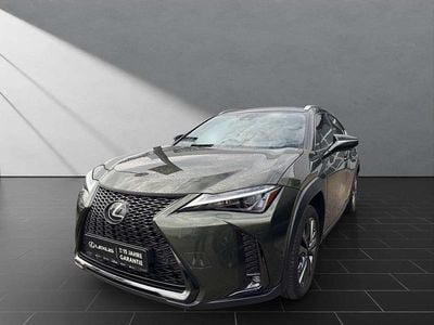 Gebraucht Lexus UX 250h Sport Line 184 PS (135 kW) 2023 Terrane khaki SUV
