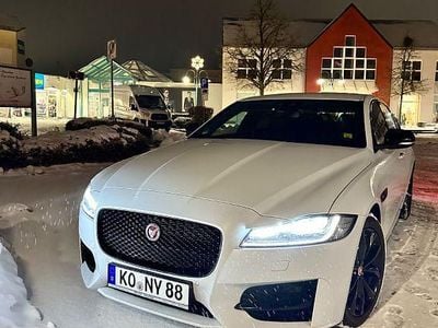 Gebraucht Jaguar XF R-Sport 179 PS (131 kW) 2018 Weiß Limousine