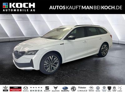 Neu Skoda Octavia SportLine 150 PS (110 kW) 2025 Moonweiß Kombi