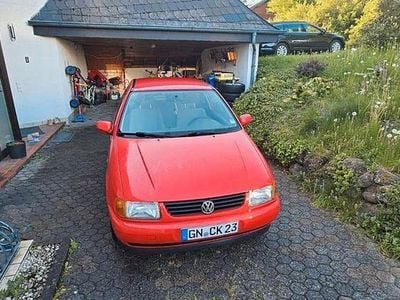 VW Polo