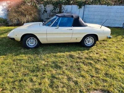 Gebraucht Alfa Romeo Spider 103 PS (75 kW) 1978 Beige Cabrio