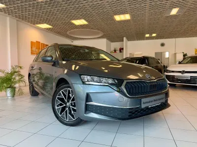 Gebraucht Skoda Octavia Tour 150 PS (110 kW) 2025 Grau Kombi