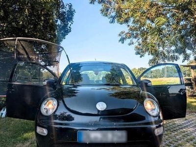 VW Beetle