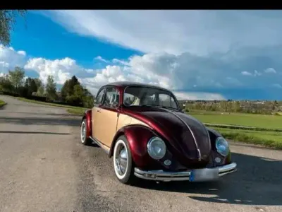 Gebraucht VW Käfer 34 PS (25 kW) 1969 Andere farben Kleinwagen