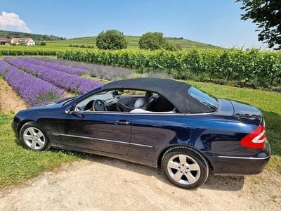 Brugt Mercedes CLK320 218 HK (160 kW) 2003 Blå Cabriolet