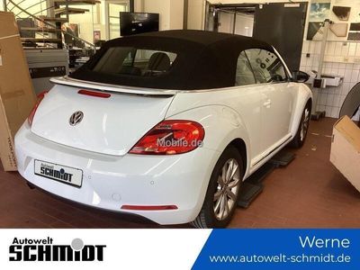 VW Beetle