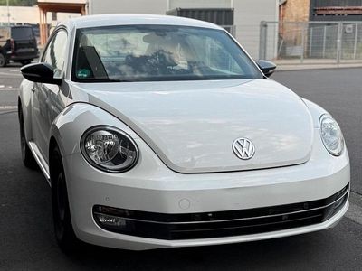 VW Beetle