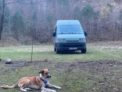 Gebraucht Peugeot Boxer