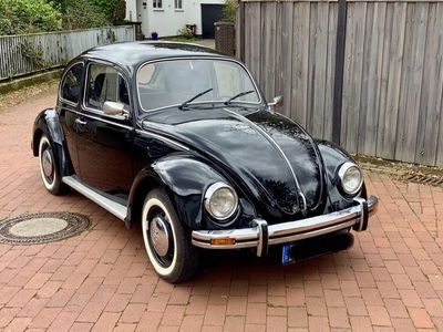 gebraucht VW Käfer 