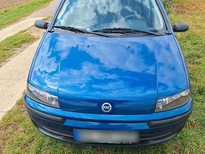 Blau Gebraucht 2001 Fiat Punto Kleinwagen | 2.250 € (Teuer)